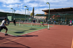 PXL_20221128_171957290